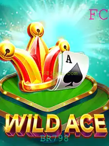 Explorando o Mundo de WildAce: Um Mergulho Profundo nas Regras e Eventos Atuais
